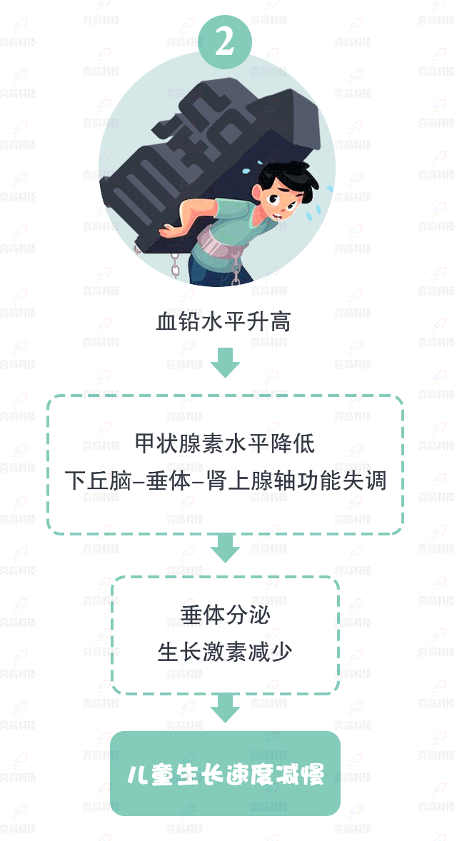 大“鉛”世界，別讓它阻礙了孩子的身高_09.gif