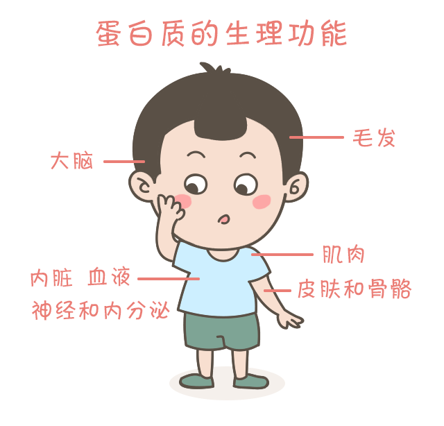蛋白質(zhì)，為孩子長(zhǎng)高添動(dòng)力！_03.gif