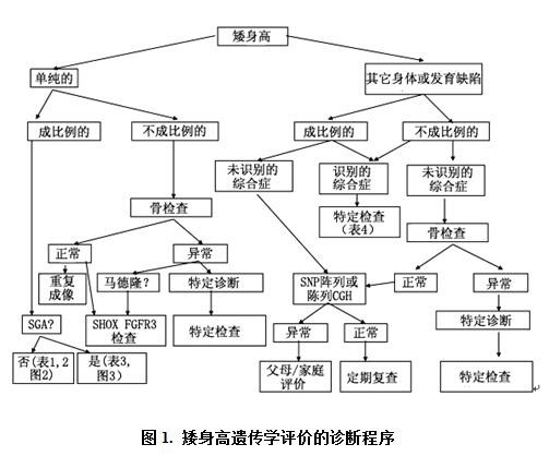 矮身高遺傳學(xué)評價(jià)的診斷程序.jpg