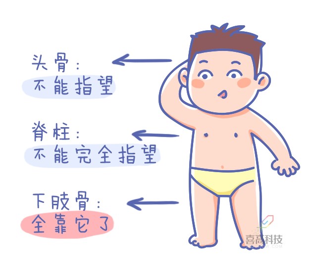重啟骨骺線~你看起來很誘人！_08.png