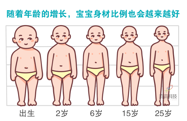 寶寶身長腿短，長大會是矮個子嗎？_02.gif