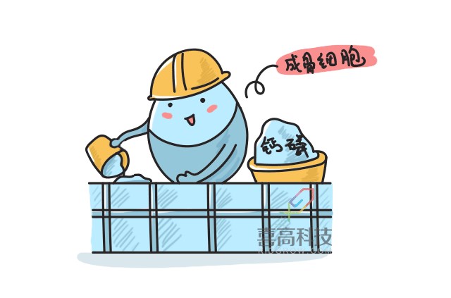 11.22看完大樓建造過程，就知道孩子是怎么長高的-_06.png